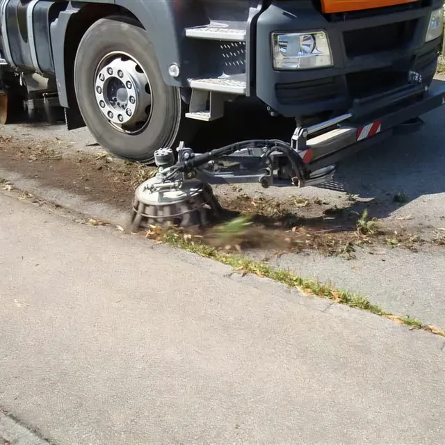 Wildkrautbeseitigung
